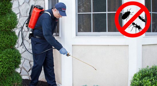 Suruç Kene İlaçlama böcek ilaçlama ve haşere kontrolü — ilaclama-tr.com